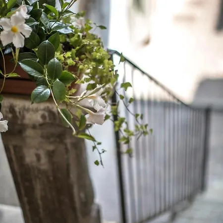 Casa Teresin 公寓